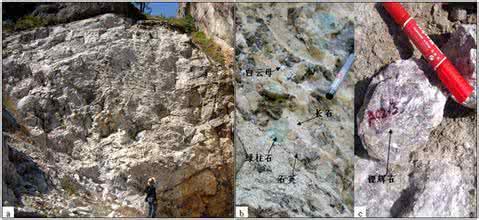 斑岩型矿床 伟晶岩矿床