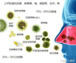 终极低位大杀器 人间真正的终极大杀器——感冒