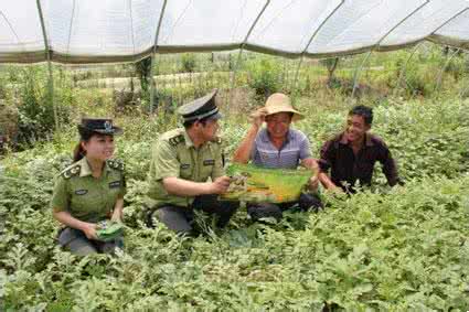 瓜农连捅城管数刀 瓜农连捅城管数刀 瓜农亲自教大家西瓜这样挑才会买到最香甜多汁的！