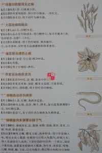 祖传秘方大全 《祖传秘方大全》——肾盂肾炎篇（内含八方）