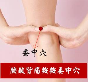 治疗腰酸背痛的经验特效穴——委中穴
