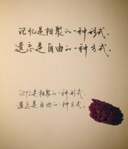 生命的哲理句子 关于生命的哲理