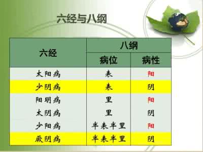 六经辨证 转帖 胡希恕的六经辨证观