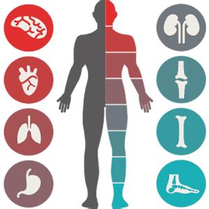 补肾养肝汤 养肝肾找“仨太” 文档