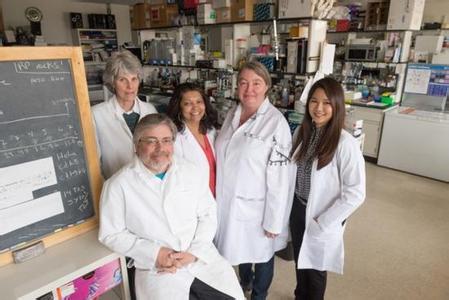 寨卡病毒死亡人数 拉美孕妇堕胎人数猛增 因担心寨卡病毒传播