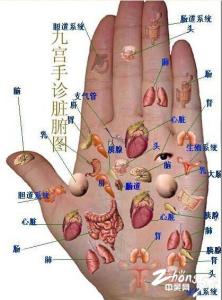 九宫手诊脏腑图 标准手疹九宫脏腑图