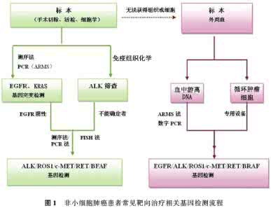 肺癌的治疗方法有哪些 肺癌治疗 治疗的方法有哪些