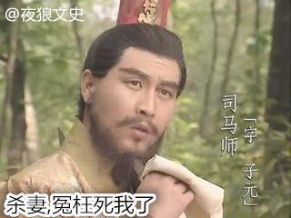 司马师的妻子 司马师妻子 司马师杀死了自己的妻子?其实真正凶手却是他