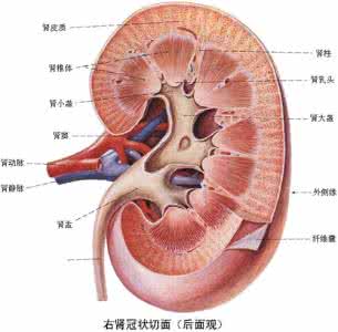 人体毒素的主要来源 眼泪可以帮助人体排除毒素