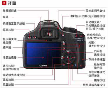 佳能单反对焦技巧 从550D到1DX 佳能EOS数码单反对焦系统解读