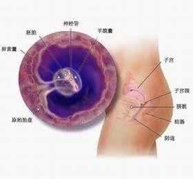 怀孕50天有时流血挺多 怀孕50天阴道出血是怎么回事