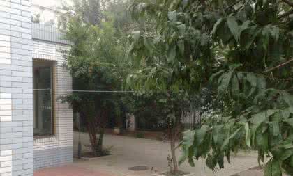 植物高过了庄院