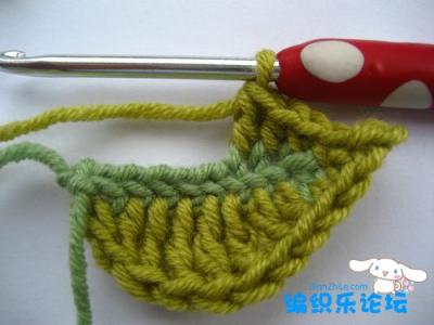 美丽鹦鹉钩织视频 钩织美丽