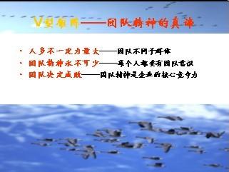 团队精神的故事及感悟 团队管理感悟