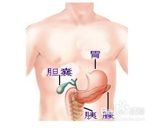 中医治疗胰腺癌肝转移 胰腺癌转移肝怎样治疗 胰腺癌应该怎样治疗