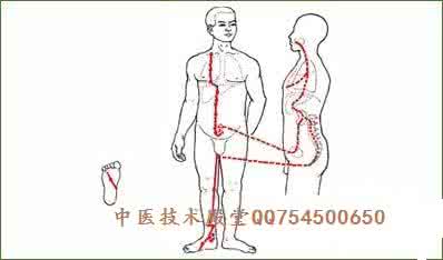 肾脏 伤不起的肾啊！ 肾脏发出的9种求救信号 文档 (2)