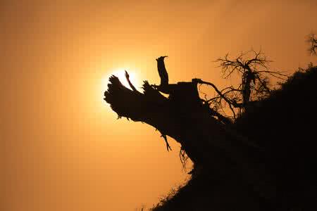 人生如梦 人生...如梦