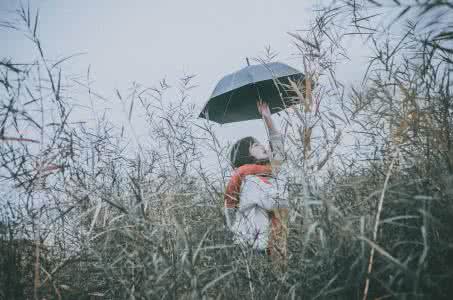 有关爱情的唯美句子 20句有关爱情的唯美语录：等待雨，是伞一生的宿命