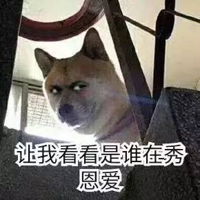 女生发朋友圈表达单身 是谁害你单身啊?是你的朋友圈呗!