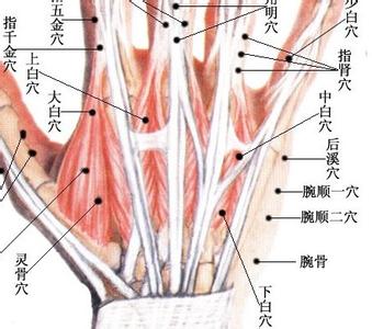【穴位治疗】一穴速治坐骨神经痛,不超过15次能痊愈!