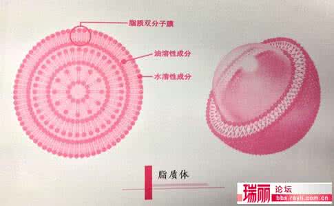 北京卤煮哪家好吃 卤煮其实很简单，学会这一招想吃啥都可以自己煮了！
