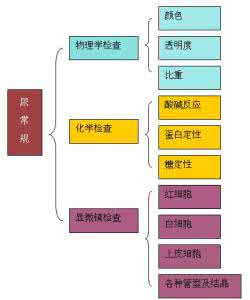 运动营养师资格证 运动营养师存在的重要性分析