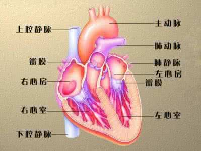 八大器官的临终遗言 【健康保养】图荐《八大器官的