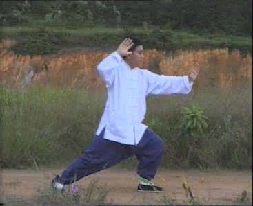 傅清泉太极十三功法 傅清泉太极十三功法 少见的太极功法 太极八式