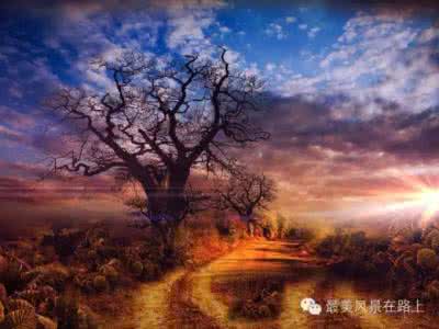 生活的最佳状态的句子 人生的最佳状态