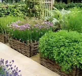 小花园 创意蔬菜小花园，用情调点亮你的田园梦