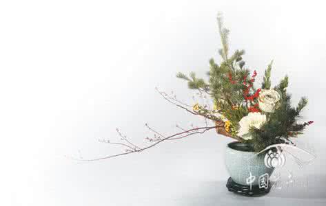 插花 插花溯源