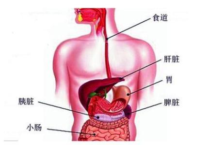 黄曲霉毒素超标 女性体内毒素超标的五大信号