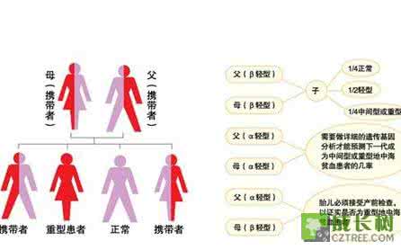 地中海贫血遗传规律 地中海贫血遗传