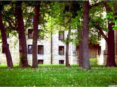 住宅风水冲煞化解方法 住宅门对大树的化解方法