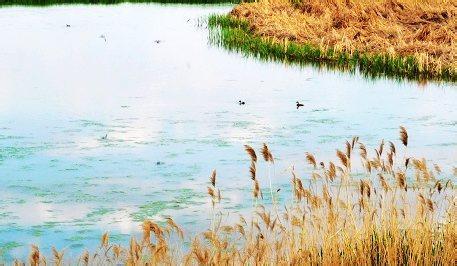 温暖的季节 温暖的五月，季节的新娘