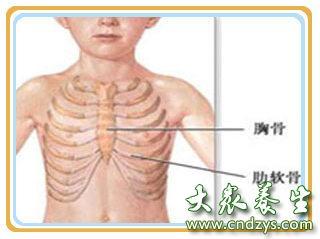 宝宝肋骨外翻怎么矫正 宝宝肋骨外翻的矫正法