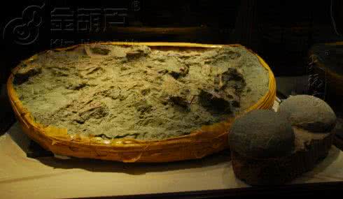 村民挖到罕见化石 村民挖到罕见化石 盘点地球上最罕见独特的八种生物化石