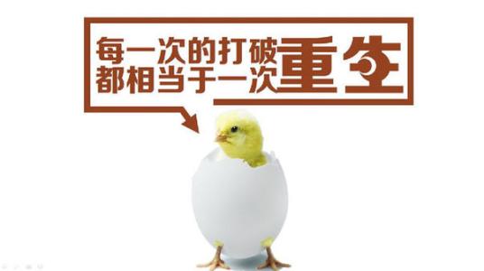 一颗鸡蛋有多少蛋白质 一颗非常励志的鸡蛋,已影响数亿人!