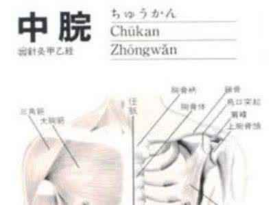 按摩减肥真的有效吗 按摩穴位有效减肥 最便宜最快速的减肥方法