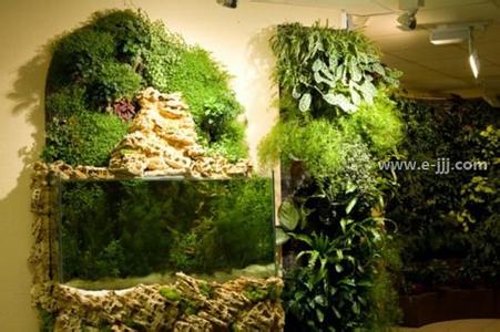 唤醒活力 远古尸骸 唤醒活力 远古尸骸 唤醒青春活力的舒适小清新别墅客厅设计效果图