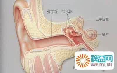 耳朵里面进水了怎么办 耳朵里面进水 【耳朵进水了怎么办】怎么消除耳朵里面的水