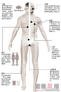食物残渣在咽喉部位 保护身体各部位最佳食物