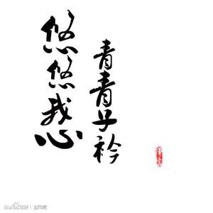 青青子衿小说 青青子衿 悠悠我心