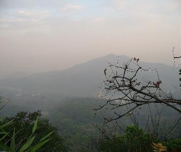 诗词鉴赏二十讲 〖诗词鉴赏〗现代诗(二十三)《故乡的冬天》等20首