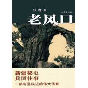 兵团往事电视剧全集 5集纪录片《我们的兵团往事