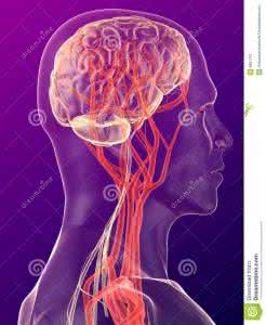 弗洛伊德性心理阶段 性心理:瞧瞧脑子,预测性欲