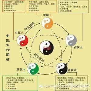 气虚体质的人食疗 五行人的体质特征及食疗养生原则+ 中医五行相生相克原理与身体的健康+五行学说+五行用药+五行人的进补药膳