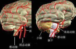脑供血不足的症状 【转】脑供血不足的症状*