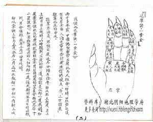 一掌经论命 一掌经论命九品格(下）
