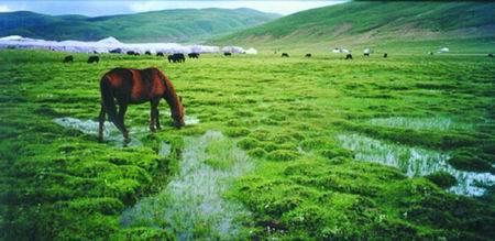 如何拍摄风景照 摄像技巧 如何用DV拍好山水风景(多图)